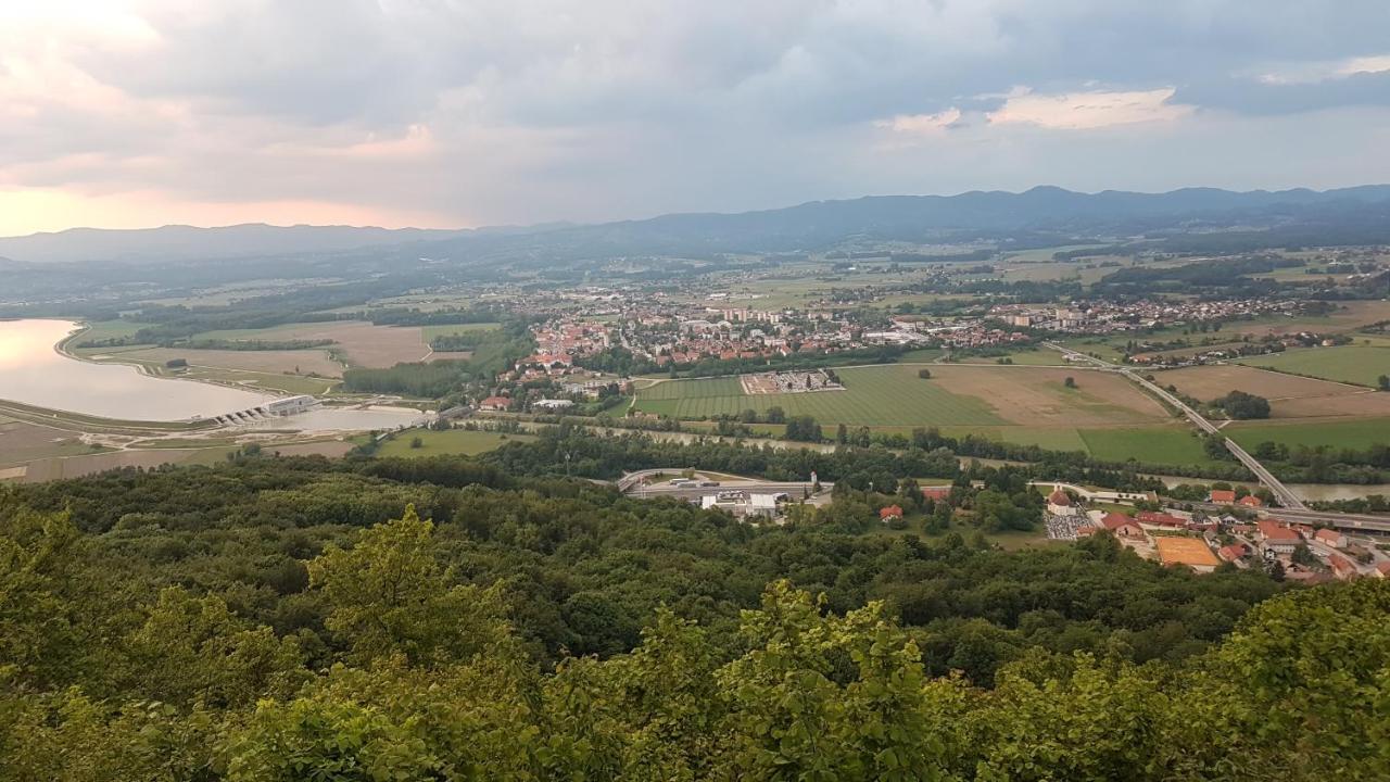 Gnezdo Vid-Ik Villa Catez ob Savi Exterior photo